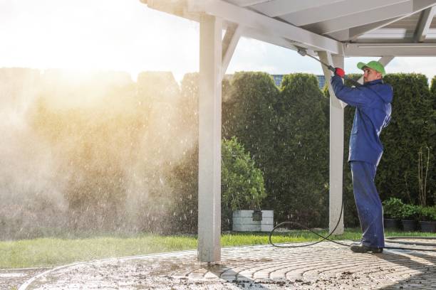 Best Spring Cleaning  in Homer, GA